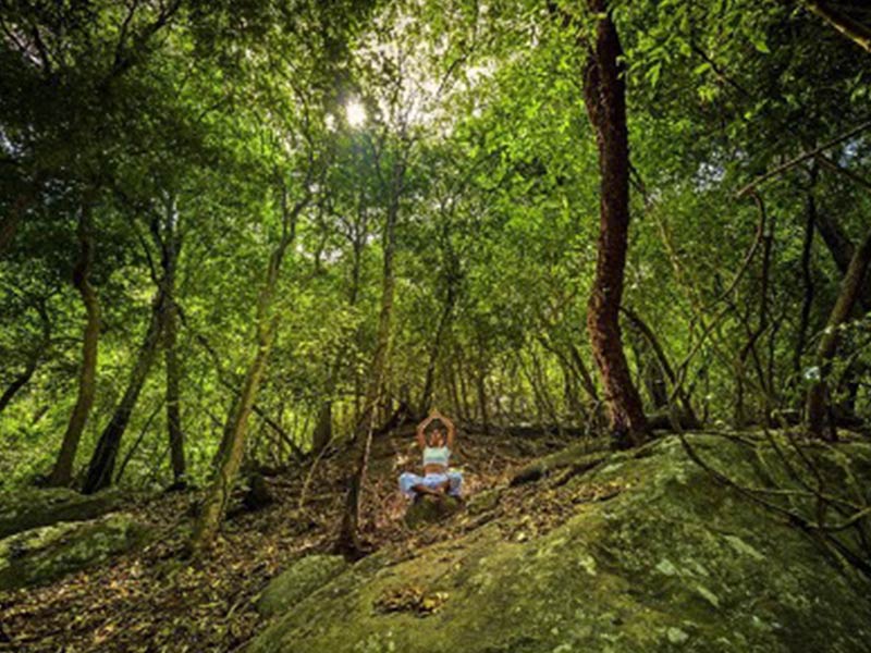 Sri-Lanka-Tourism-collaborates-with-Interface-Tourism-800x600